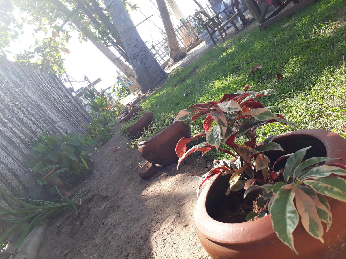 Sea Shine Beach Resort Mirissa Dış mekan fotoğraf